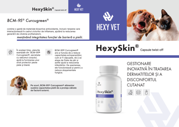 Hexy Skin - imagine 4