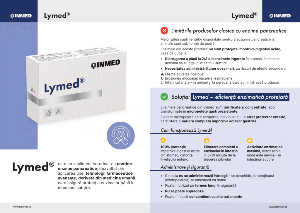 micropelete gastrorezistente enzime pancreatice protectie acid stomac Lymed